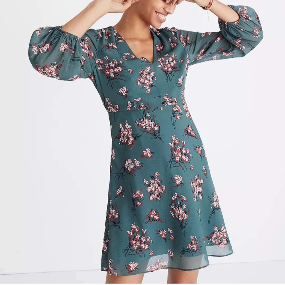MADEWELL Marguerite Dress in Butterfly Garden Sz 6